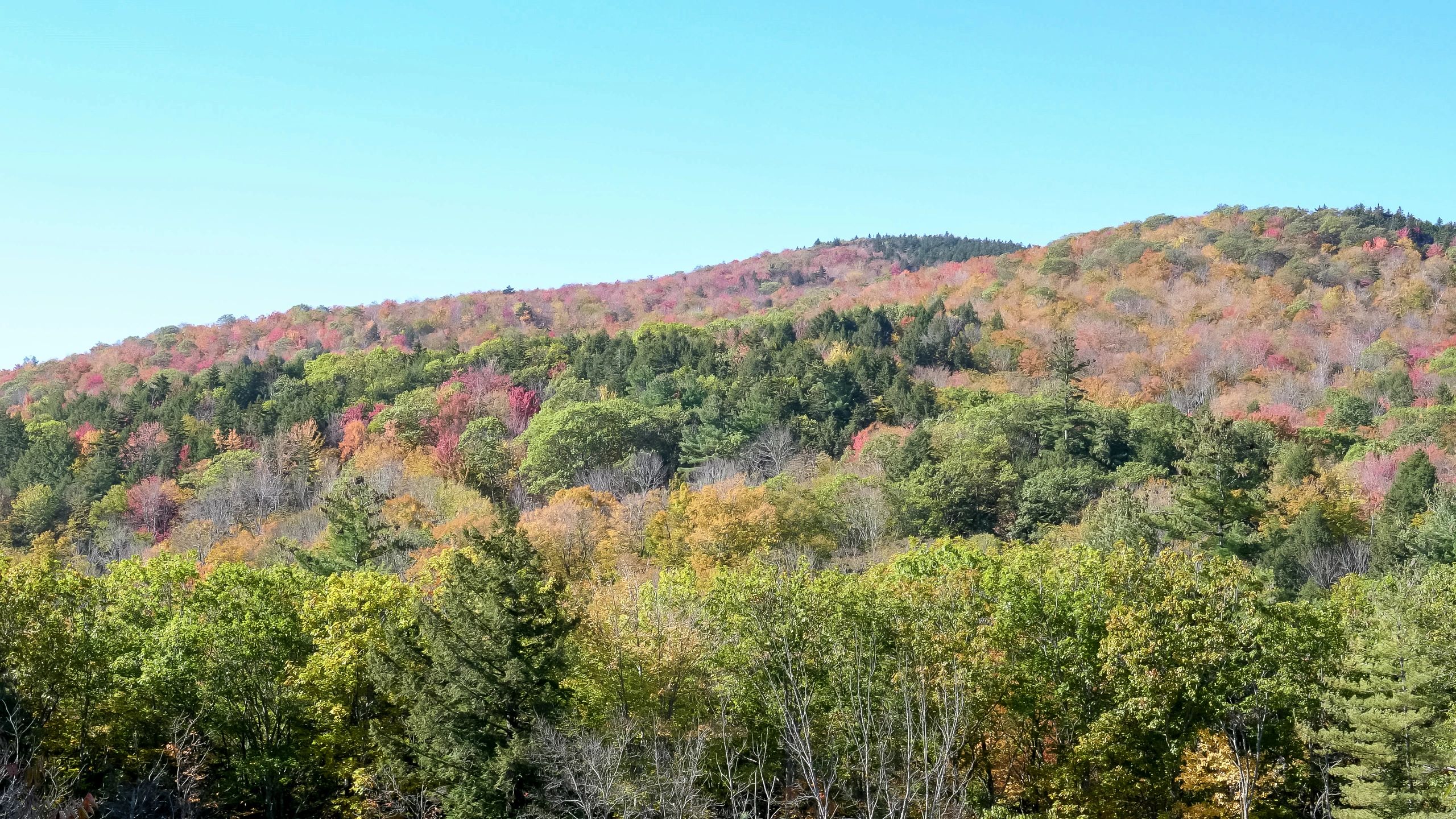 New Hampshire hillside estate landscape with fall foliage and mountain character
