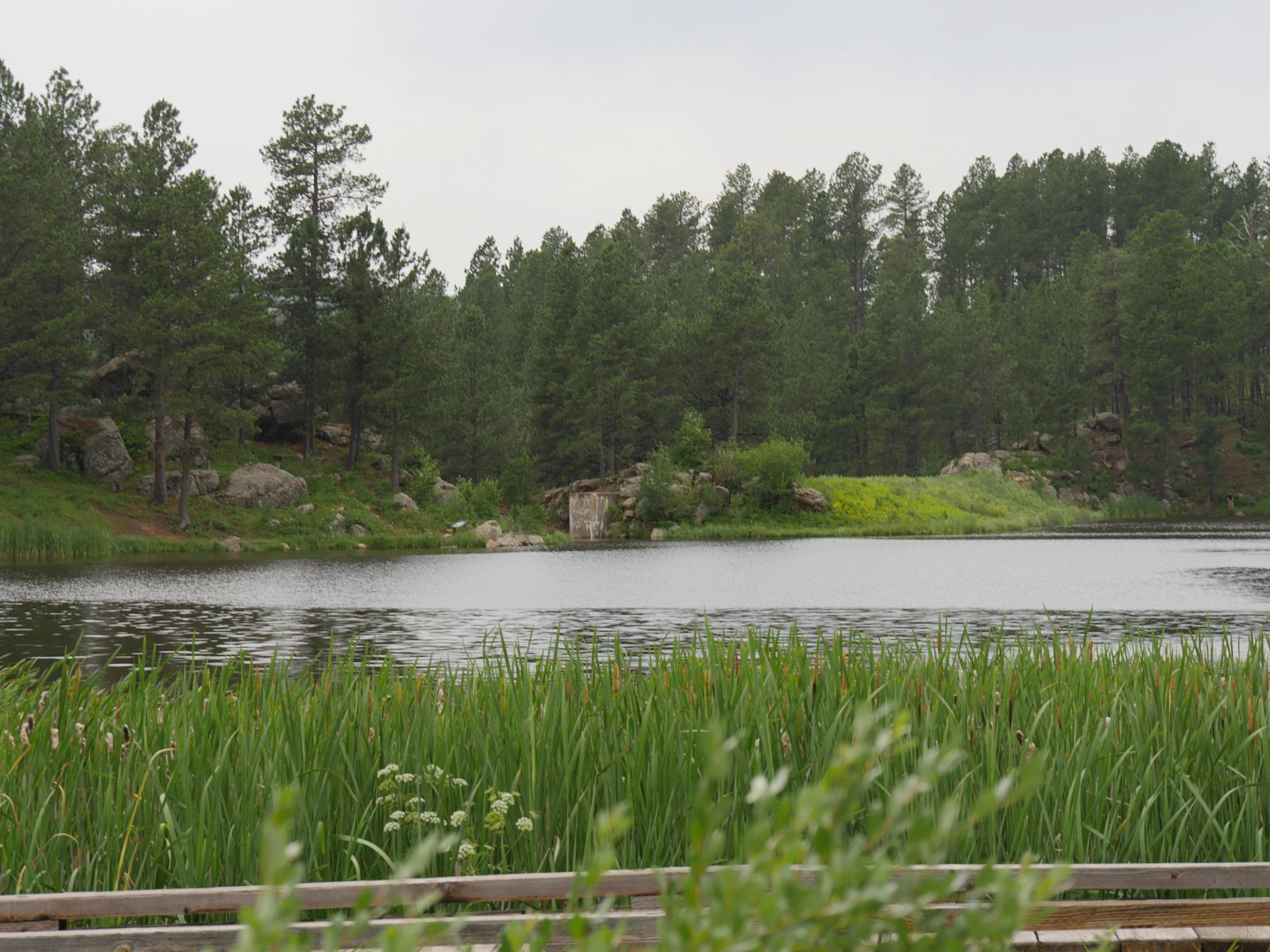 South Dakota lake and forest landscape near the Black Hills