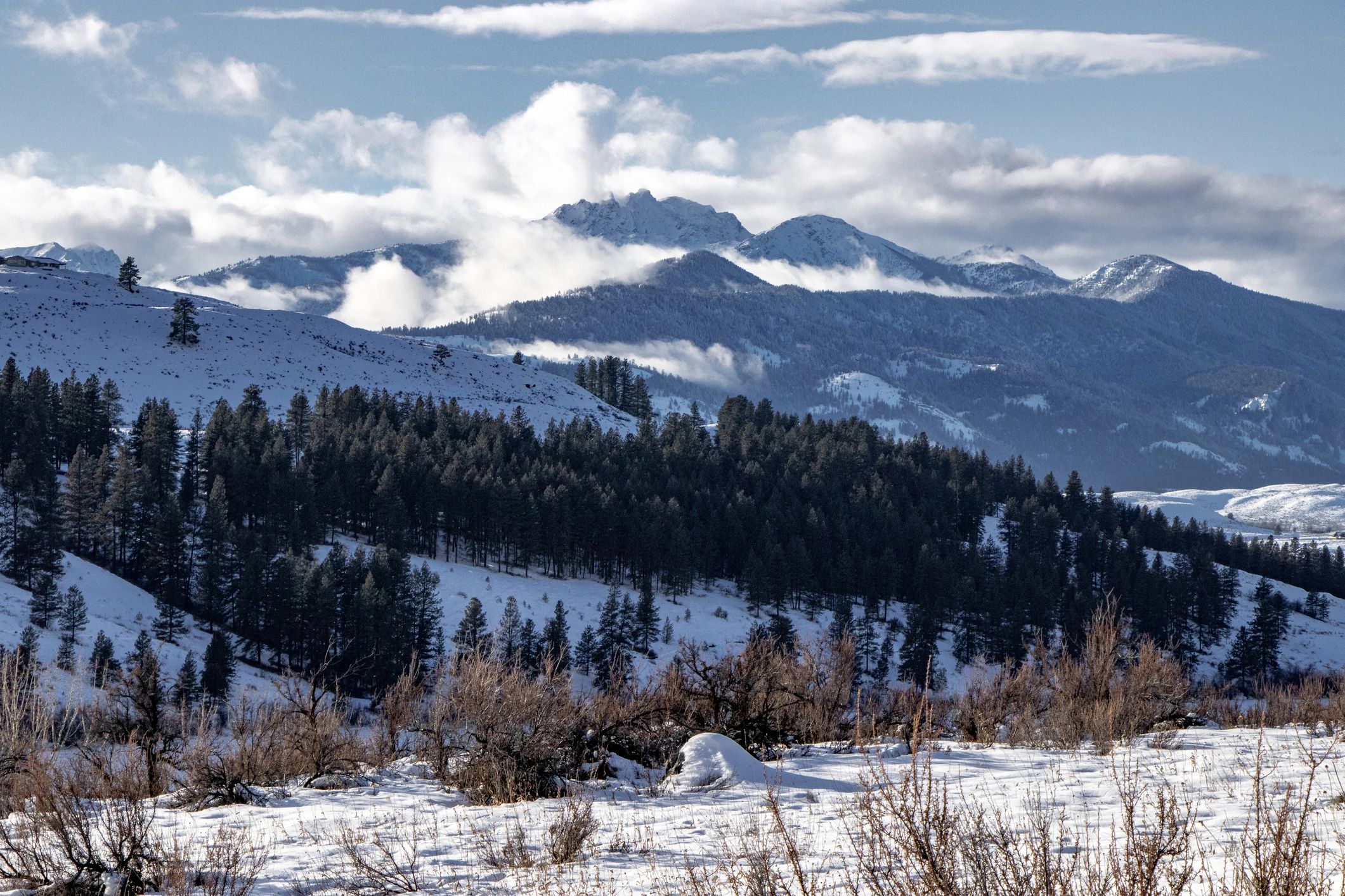 Winter in North Cascades National Park