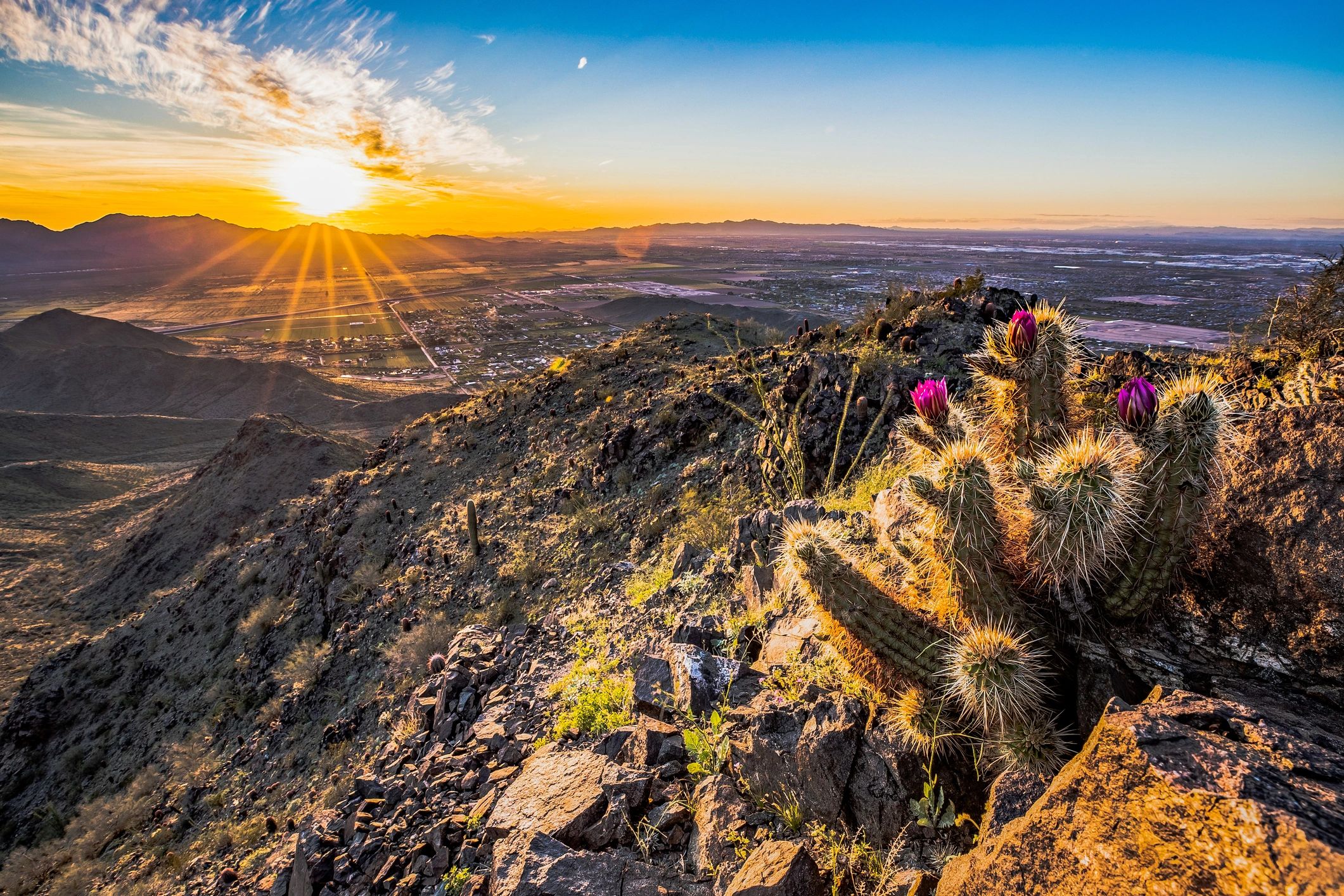 Arizona desert mountain terrain representing remote bunker development, access planning, and climate-aware siting