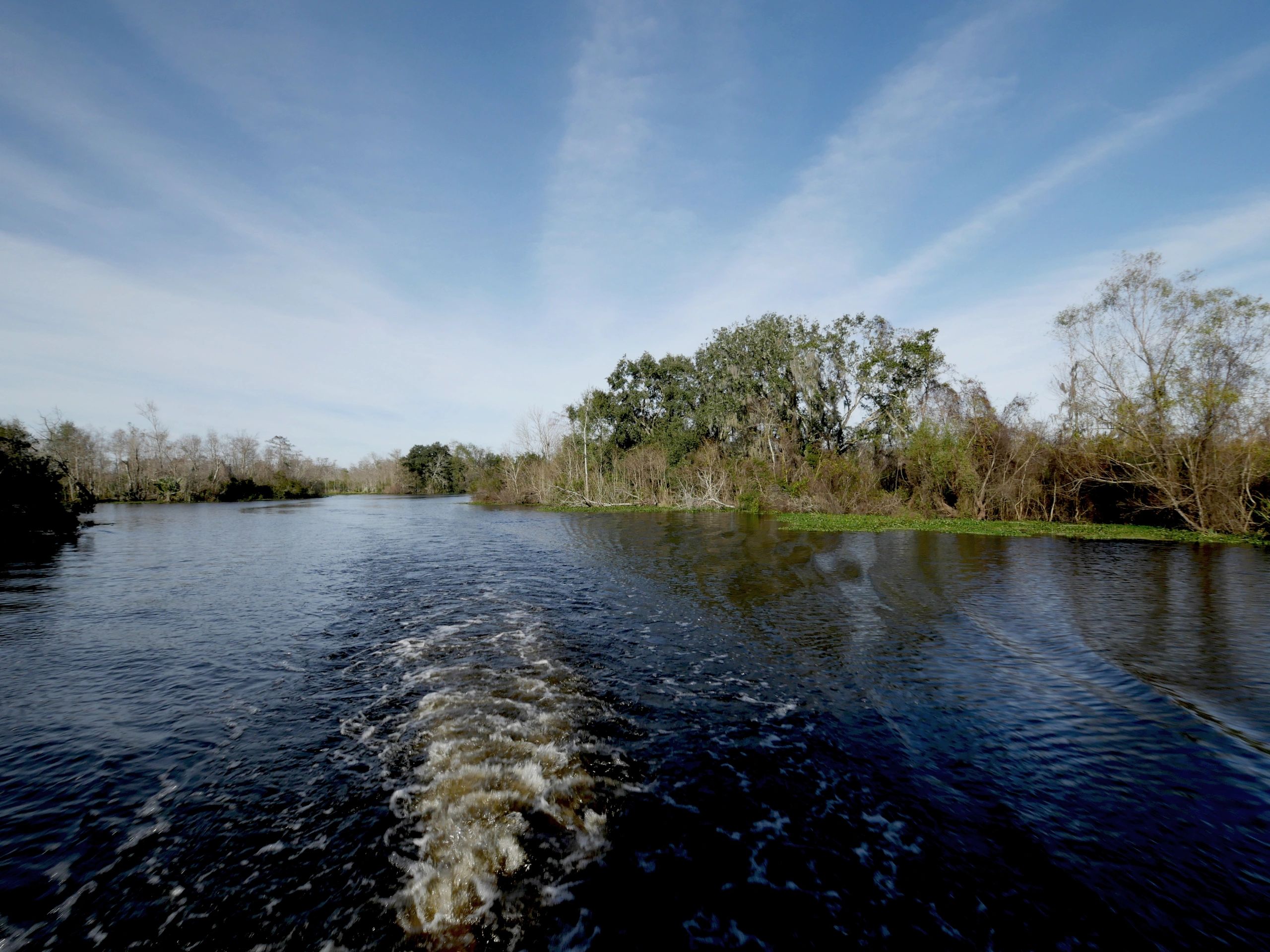 Louisiana bayou waterway near estate-scale property conditions