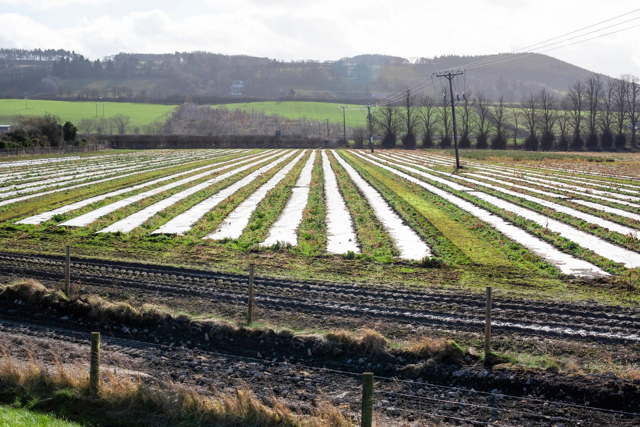 Rural agricultural landscape with cultivated fields