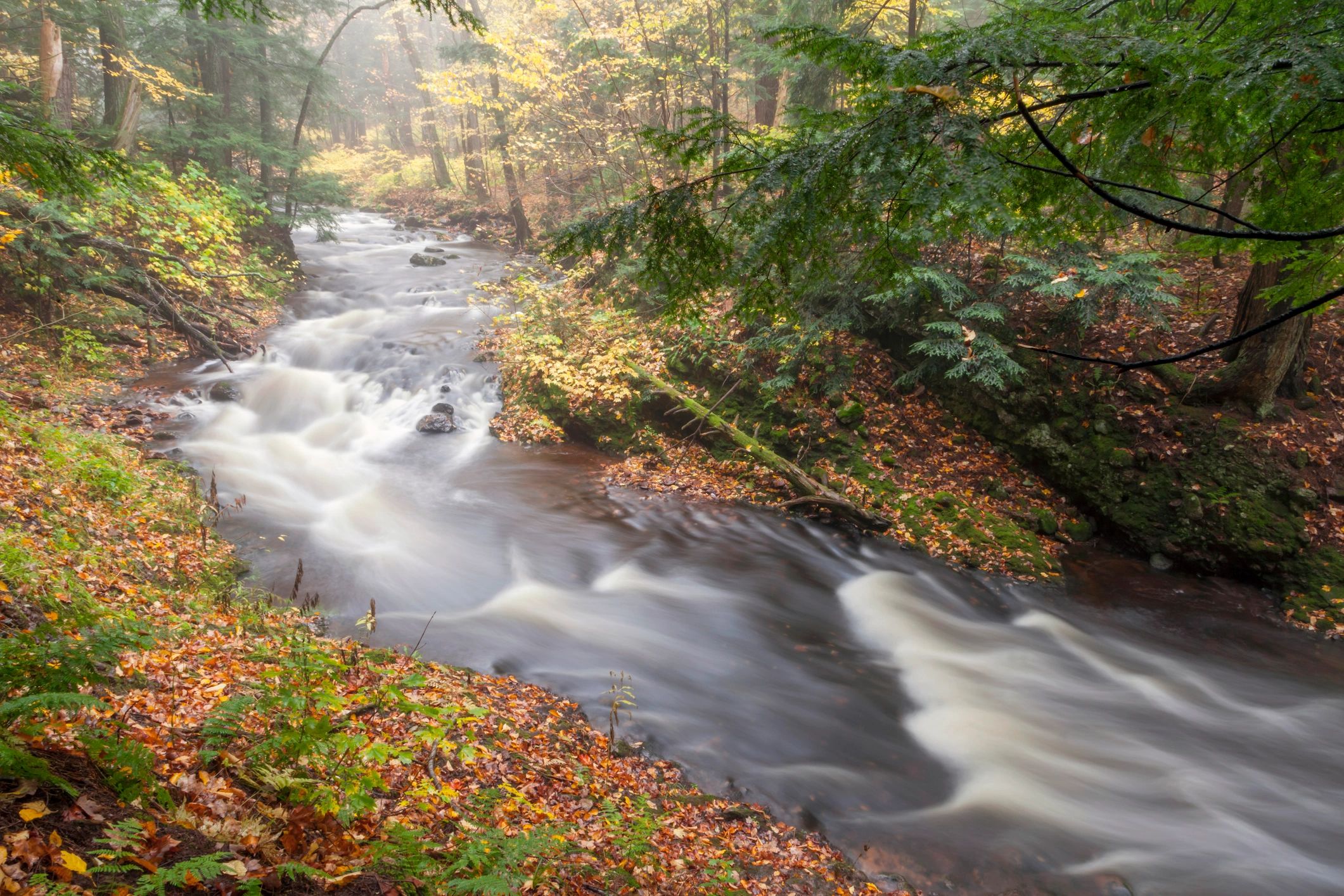 A Long Exposure Wide Shot of the Presque Isle River Curving through Northern Michigan during Fall