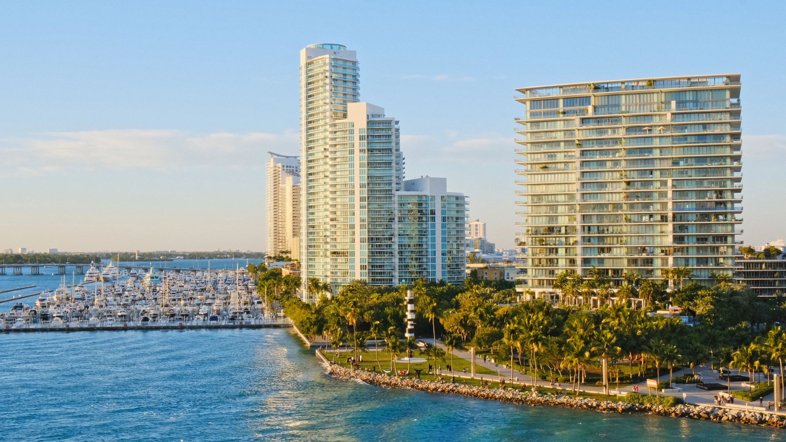 Miami Cityscape