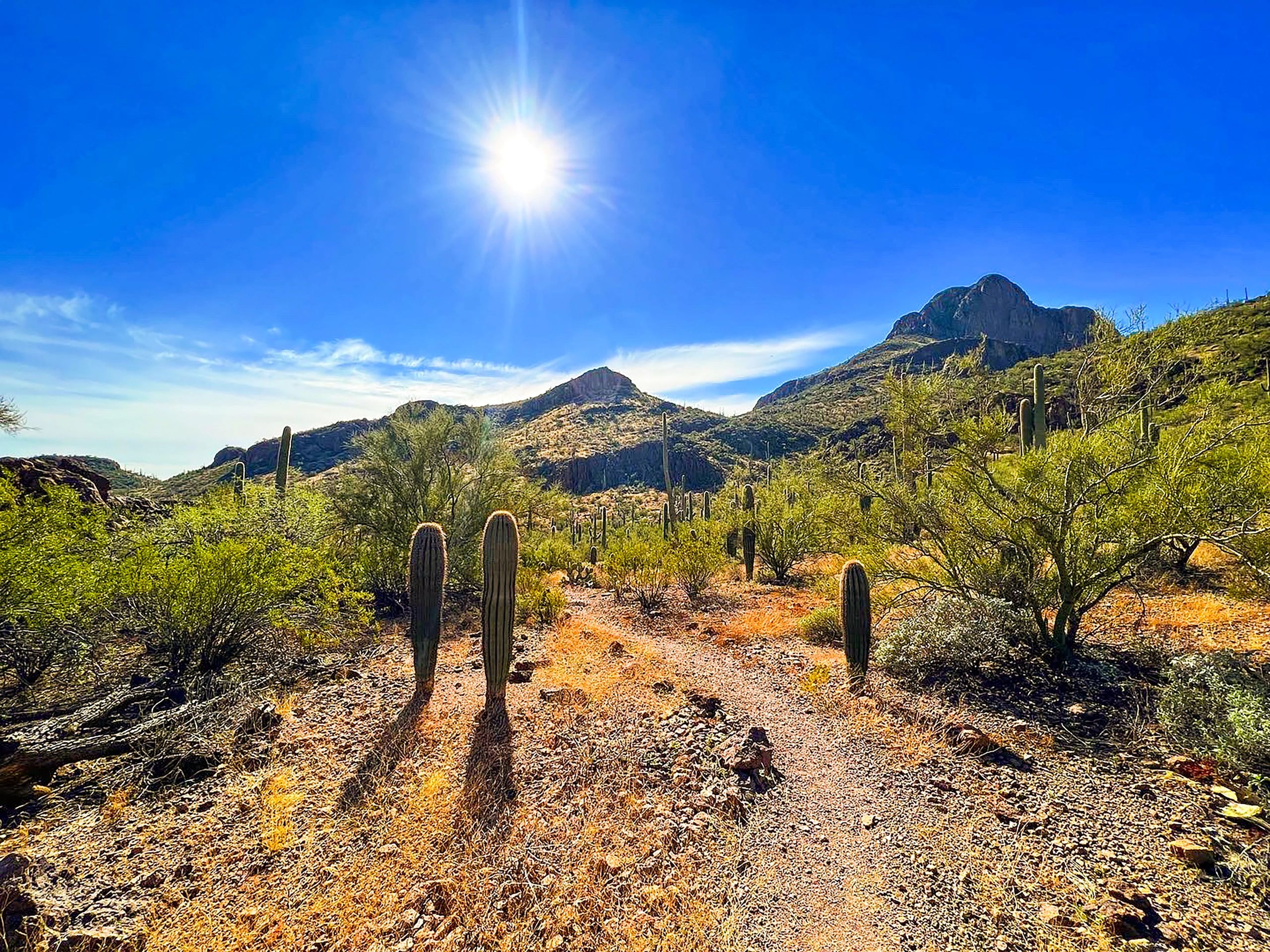 Arizona desert mountain landscape representing Mohave County bunker construction planning