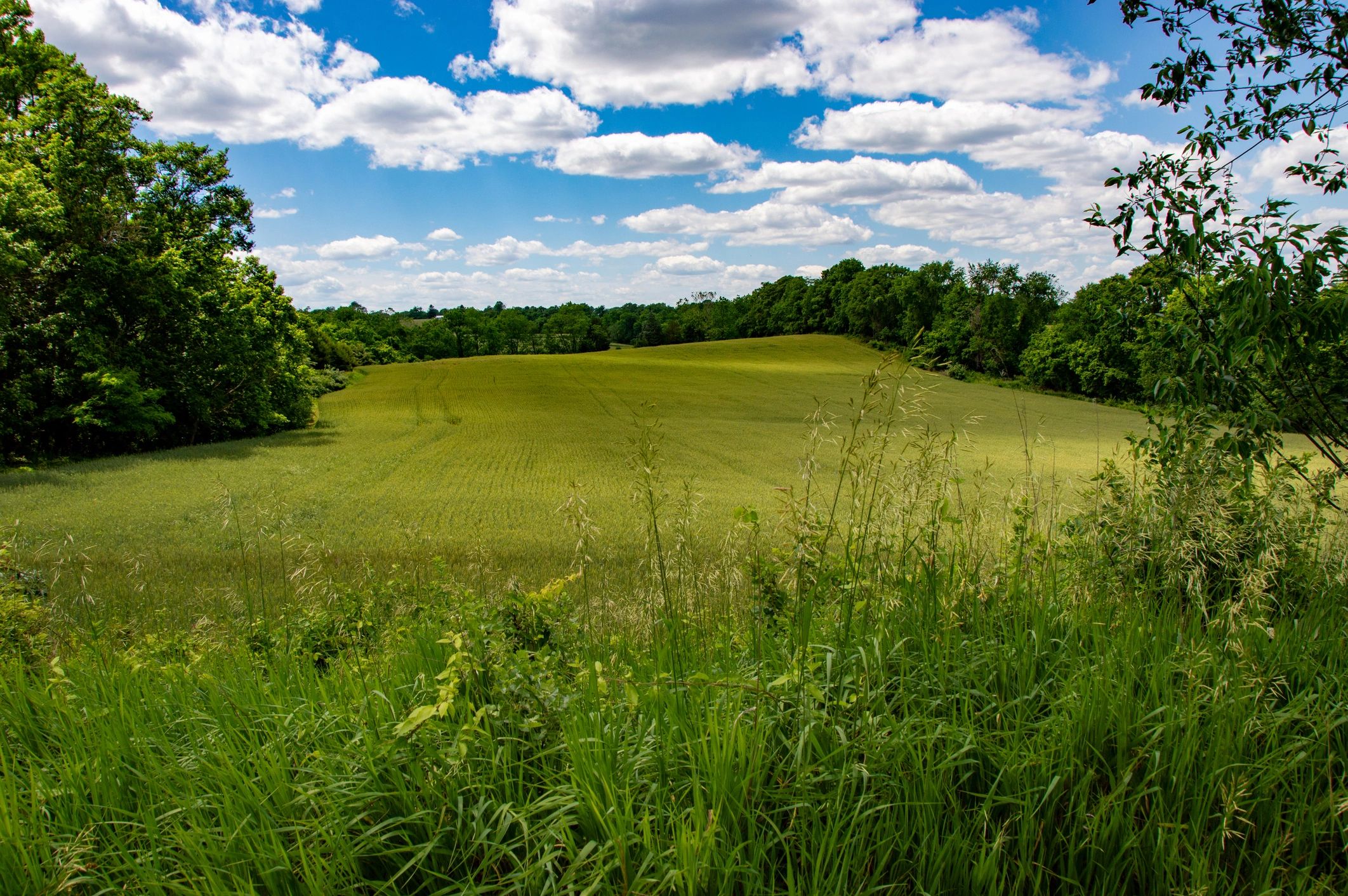 Maryland countryside landscape