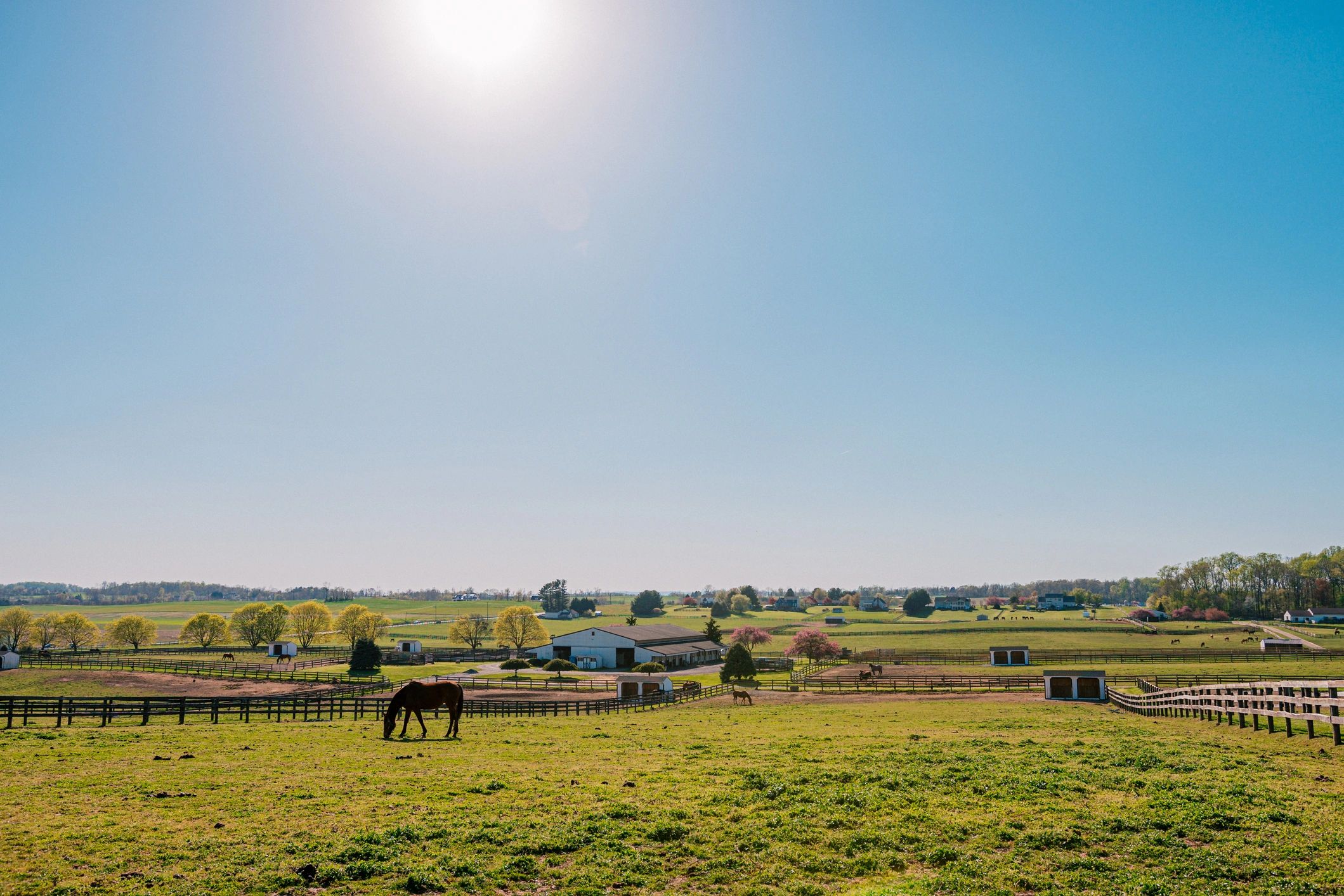 Maryland estate pasture landscape
