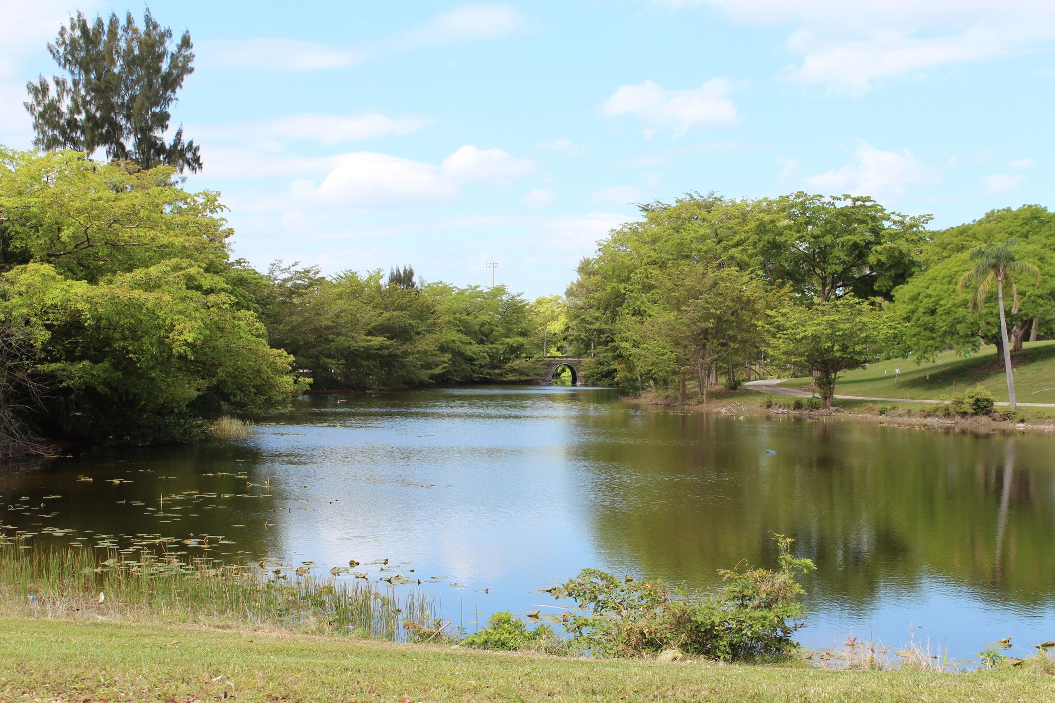 Florida landscape for Miami-Dade County bunker construction context