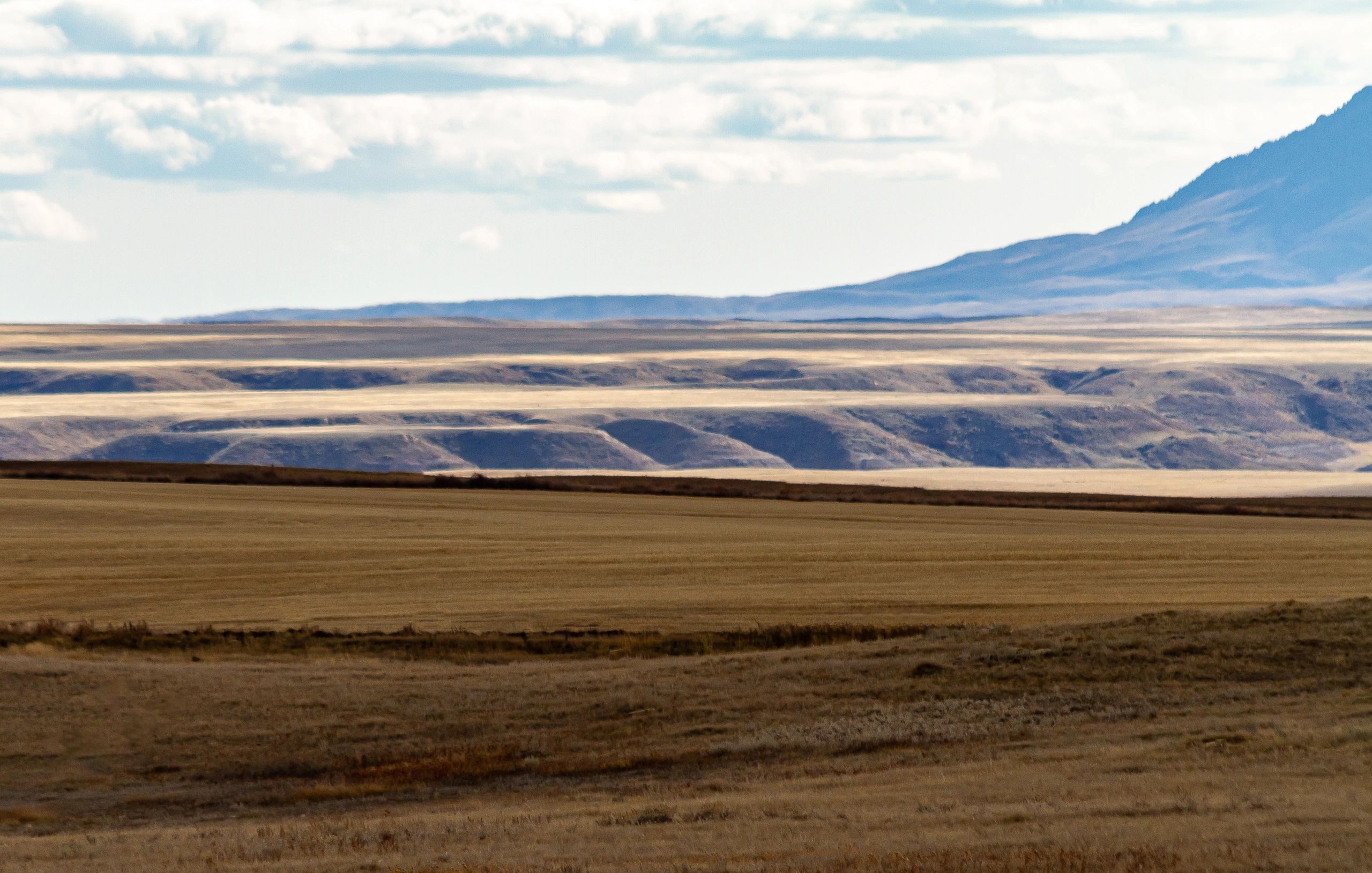 Open grassland and distant hills suited to remote Montana-style compound planning
