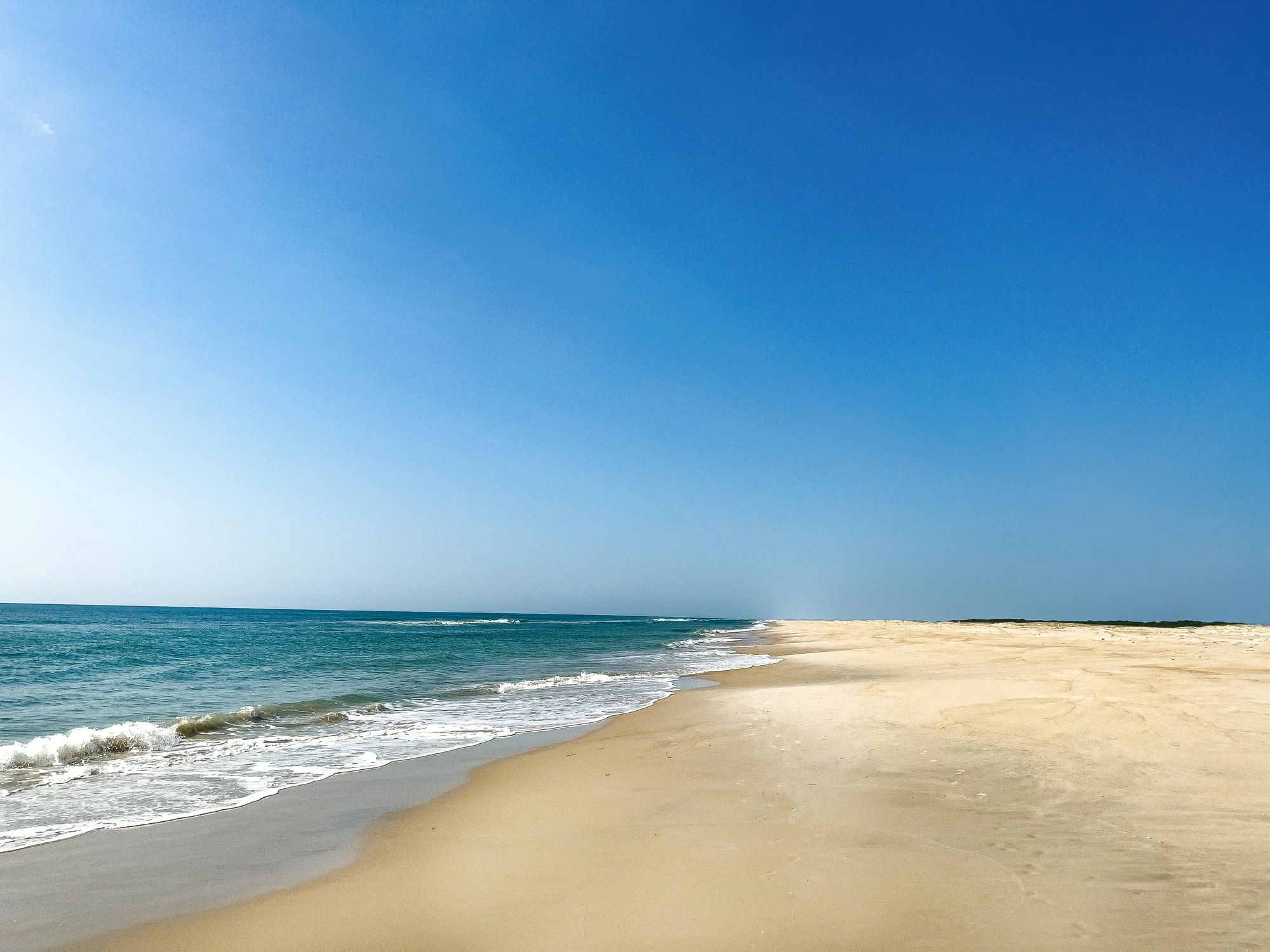 Assateague shoreline for Maryland coastal context