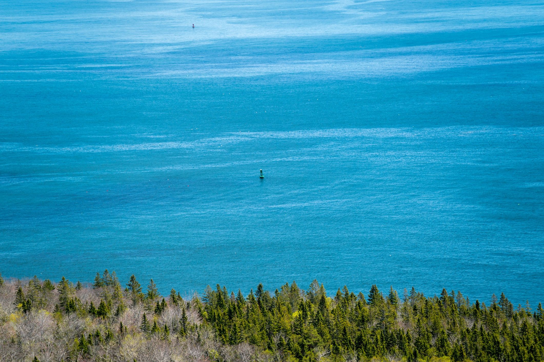Coastal View of the Atlantic Ocean From a Forest Edge. Sea buoy