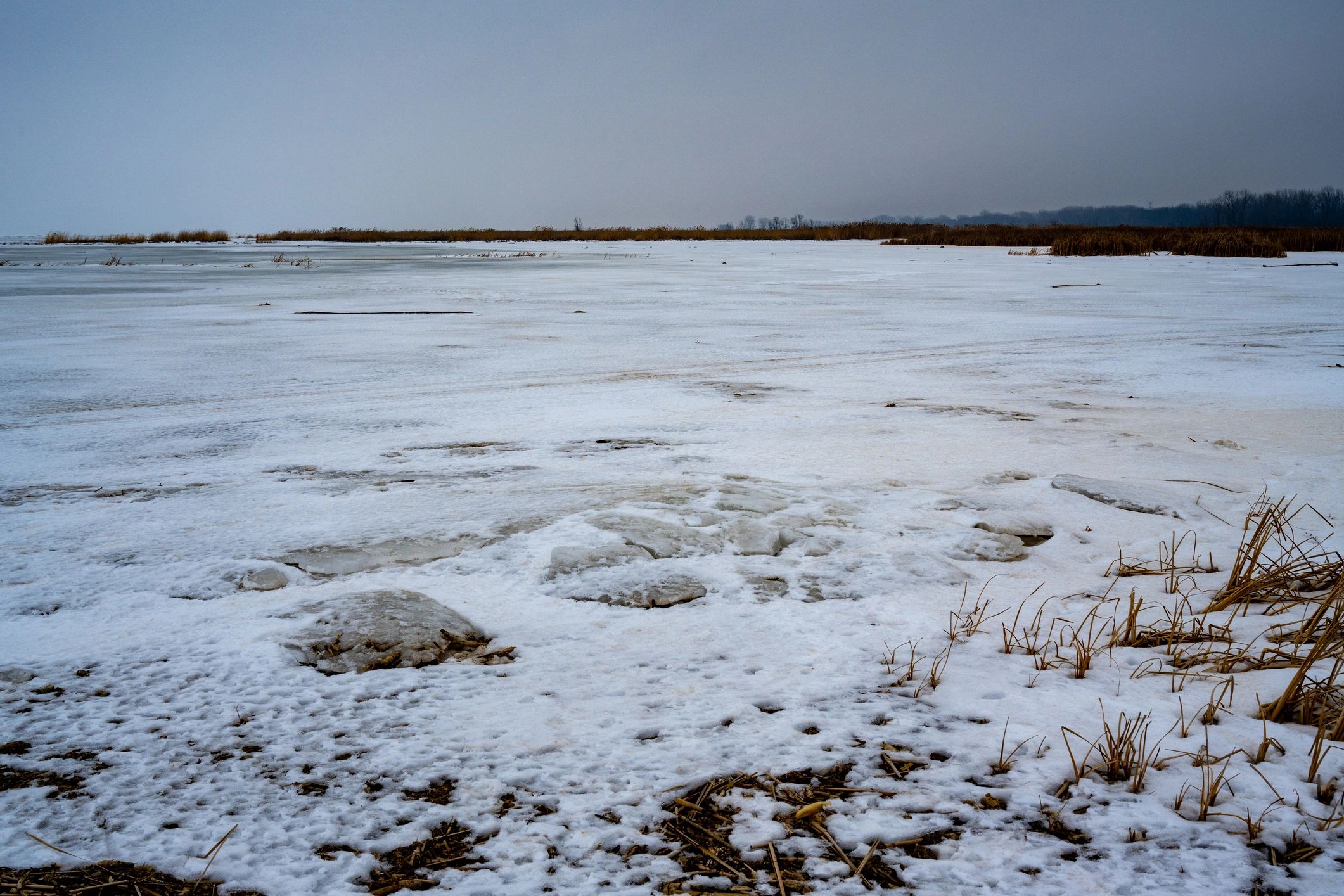 Frozen Bay