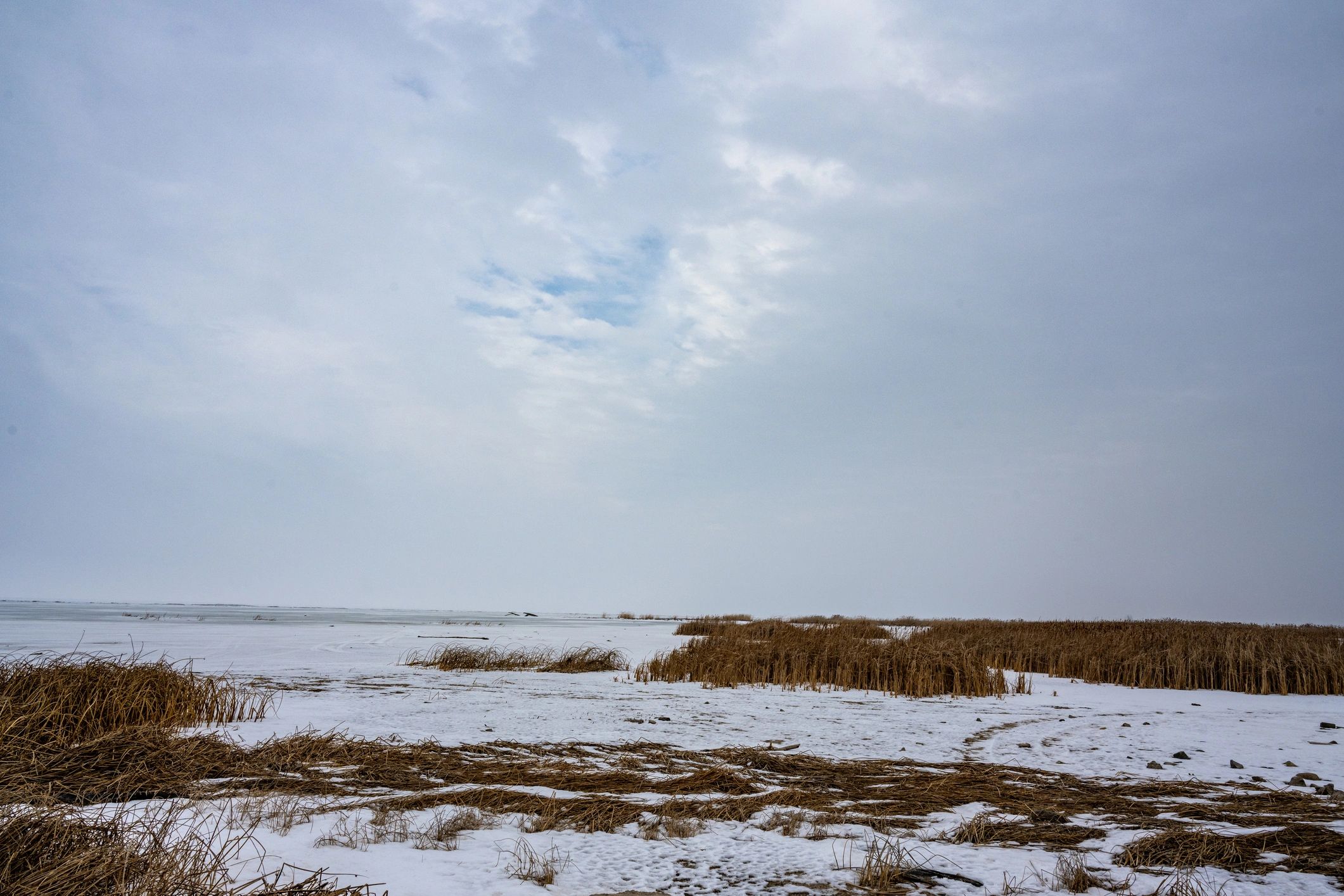 Snowy Michigan shoreline