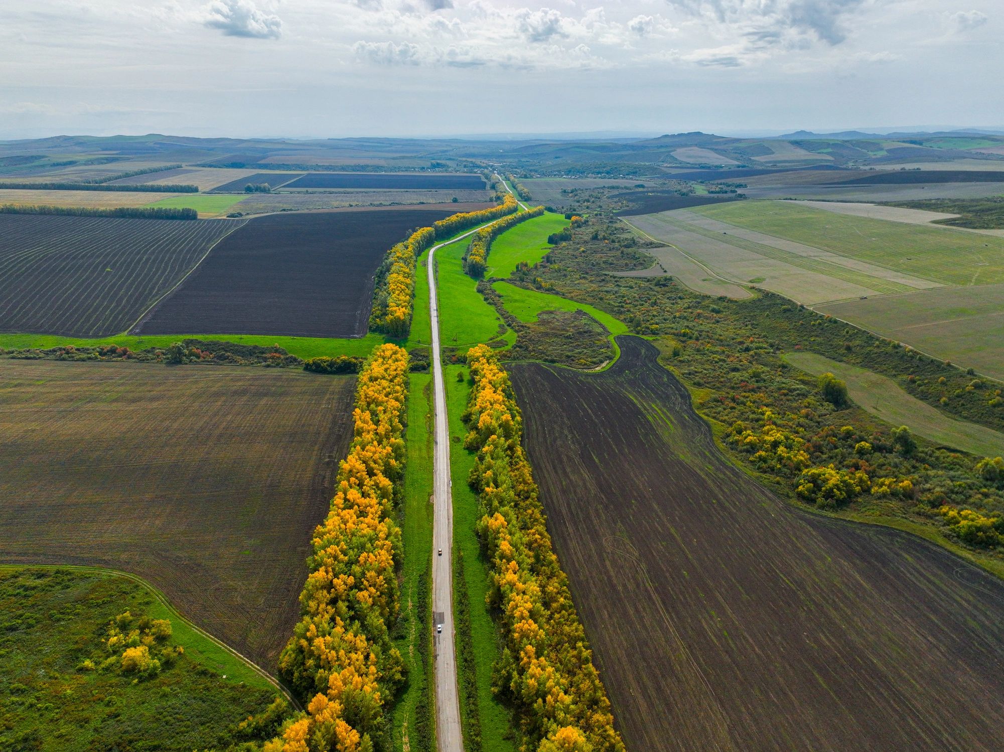 Aerial view of scenic road through farmlands
