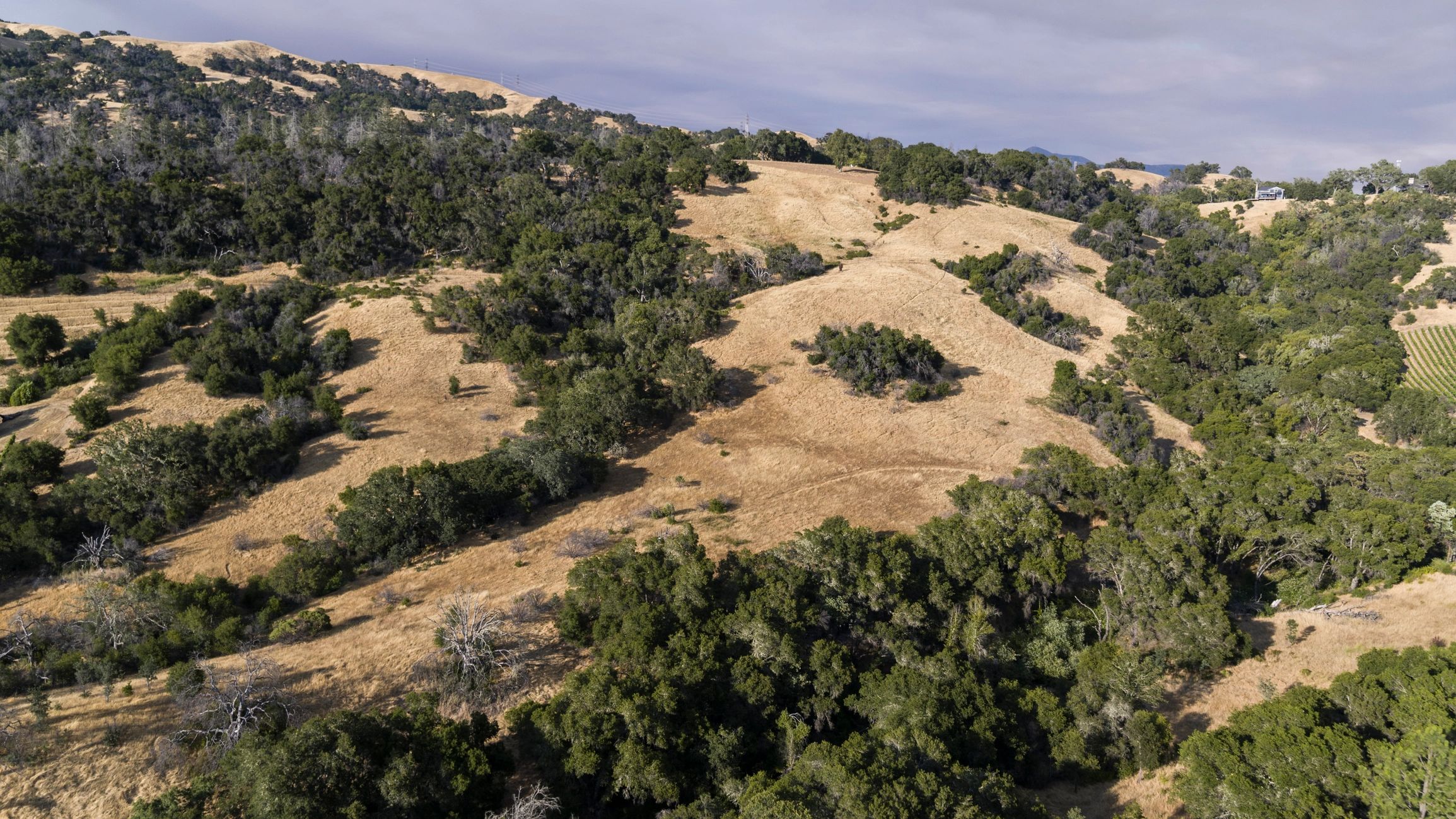 California hillside property landscape