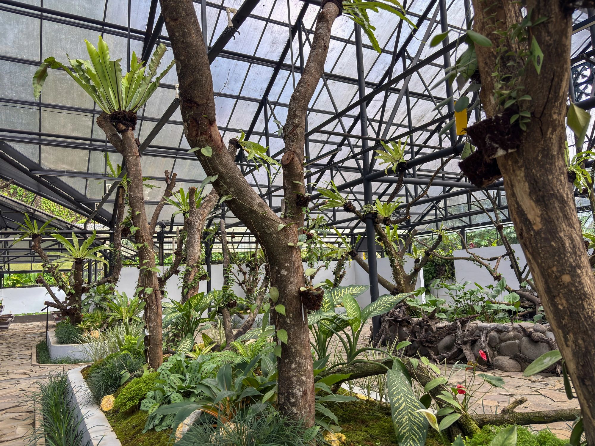 Tropical architectural environment suited to premium resilience planning