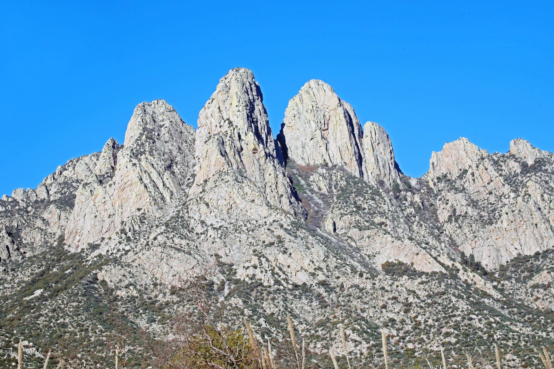 Organ Mountains landscape in New Mexico