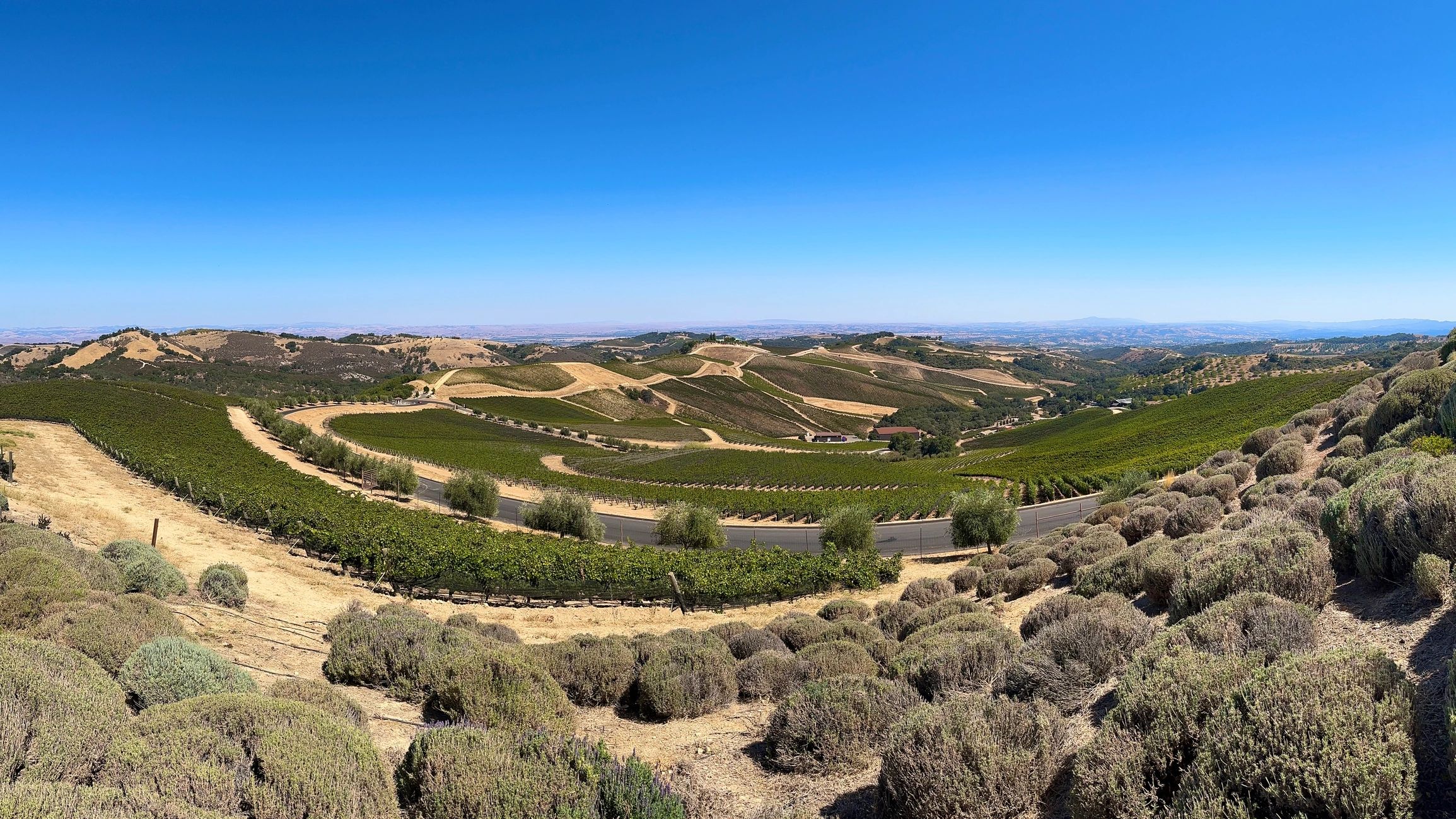 California valley and hillside landscape for San Benito County bunker planning