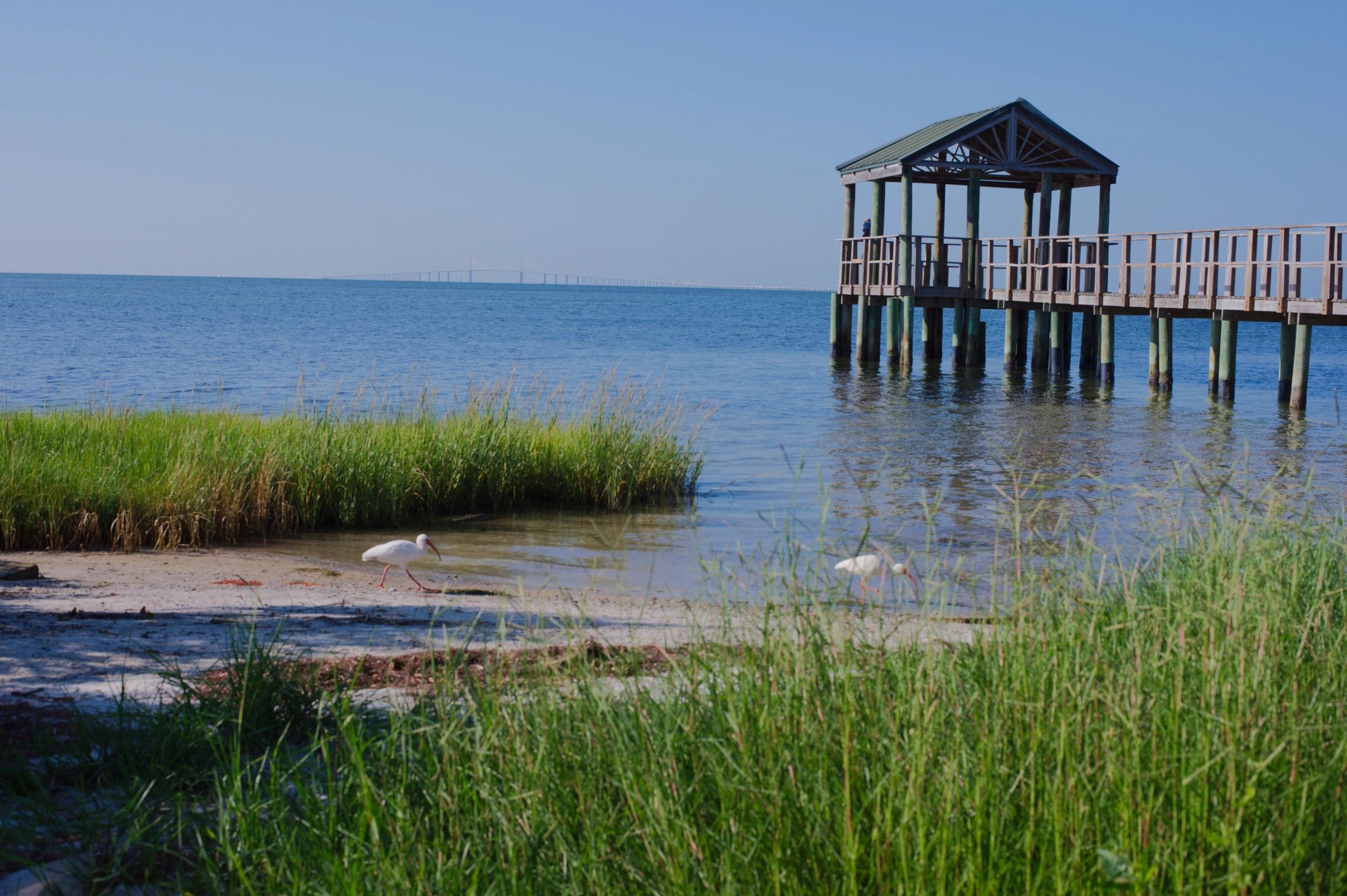 Tranquil Beach Scene With Wooden Pier Extending Over Calm Blue Water And Marsh Grass Near Shore