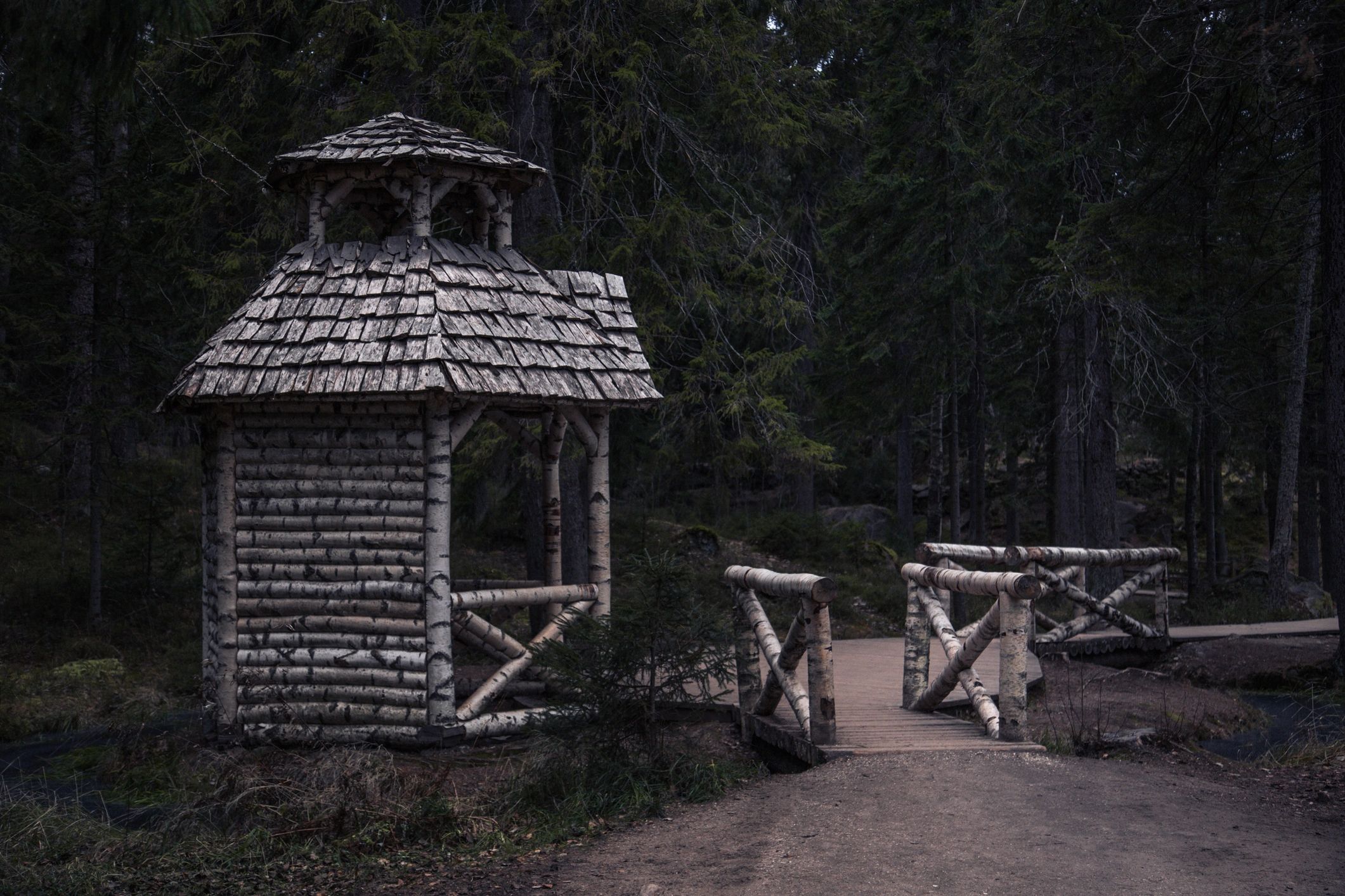 Rustic Wooden Gazebo and Bridge in a Dark, Moody Conifer Forest