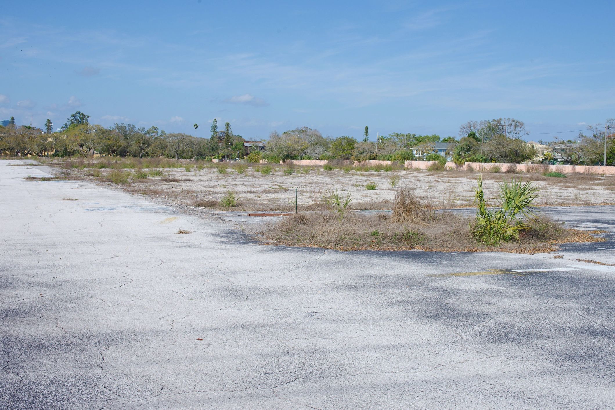 Empty Abandoned Parking Lot old shopping center With Overgrown Weeds And Trees Under A Blue Sky in St. Petersburg, FL.