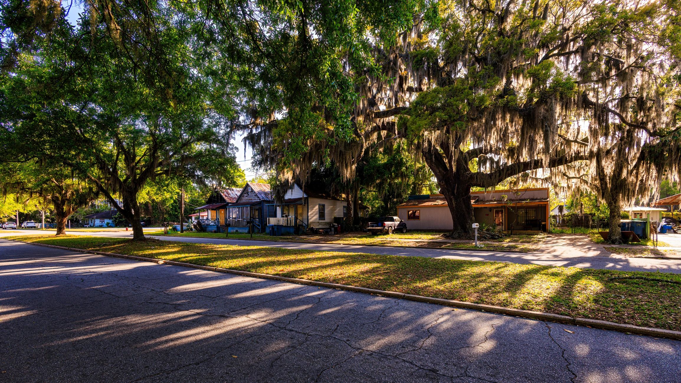 Georgia neighborhood street with oak trees and Spanish moss