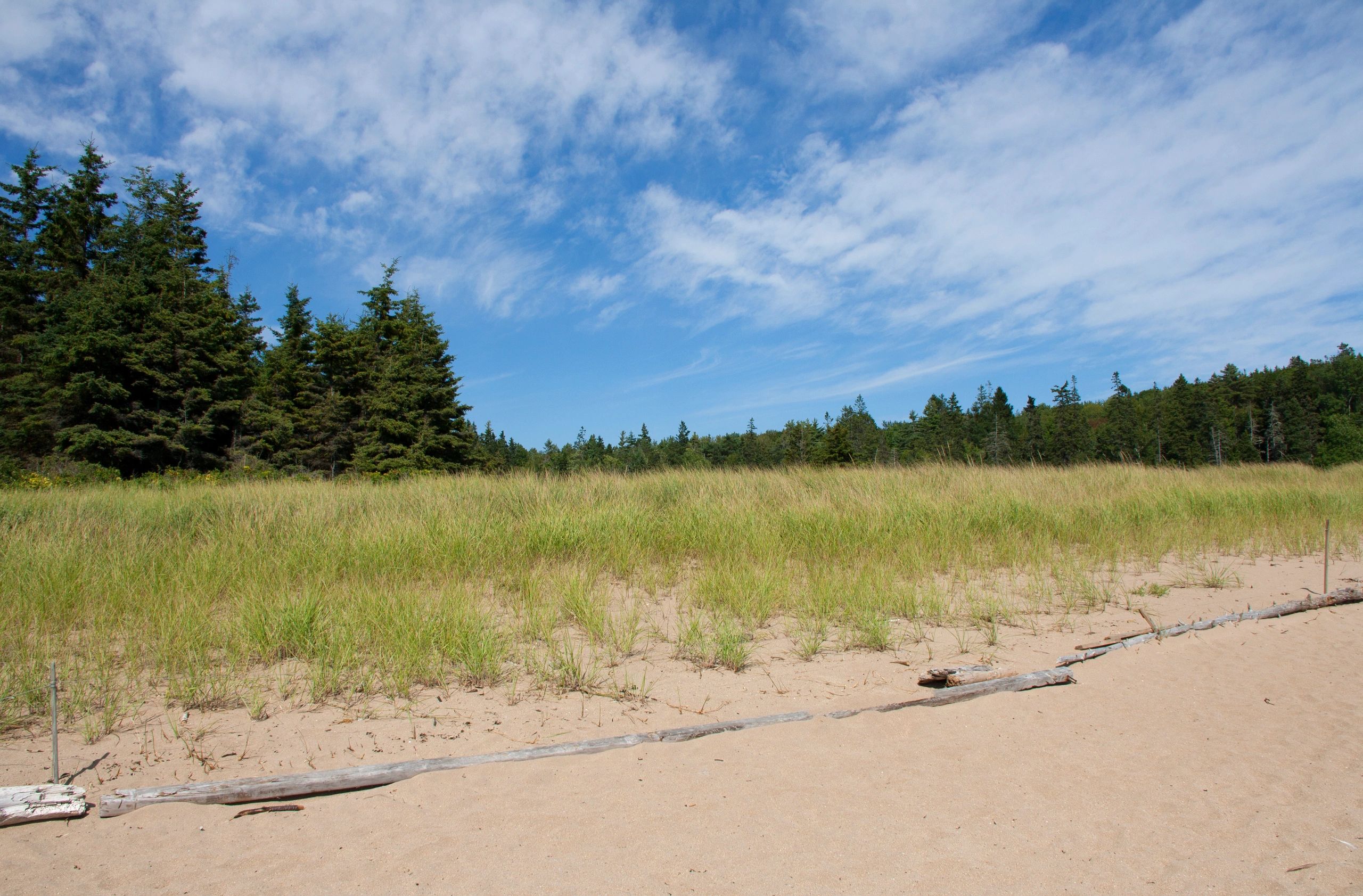 Maine shoreline