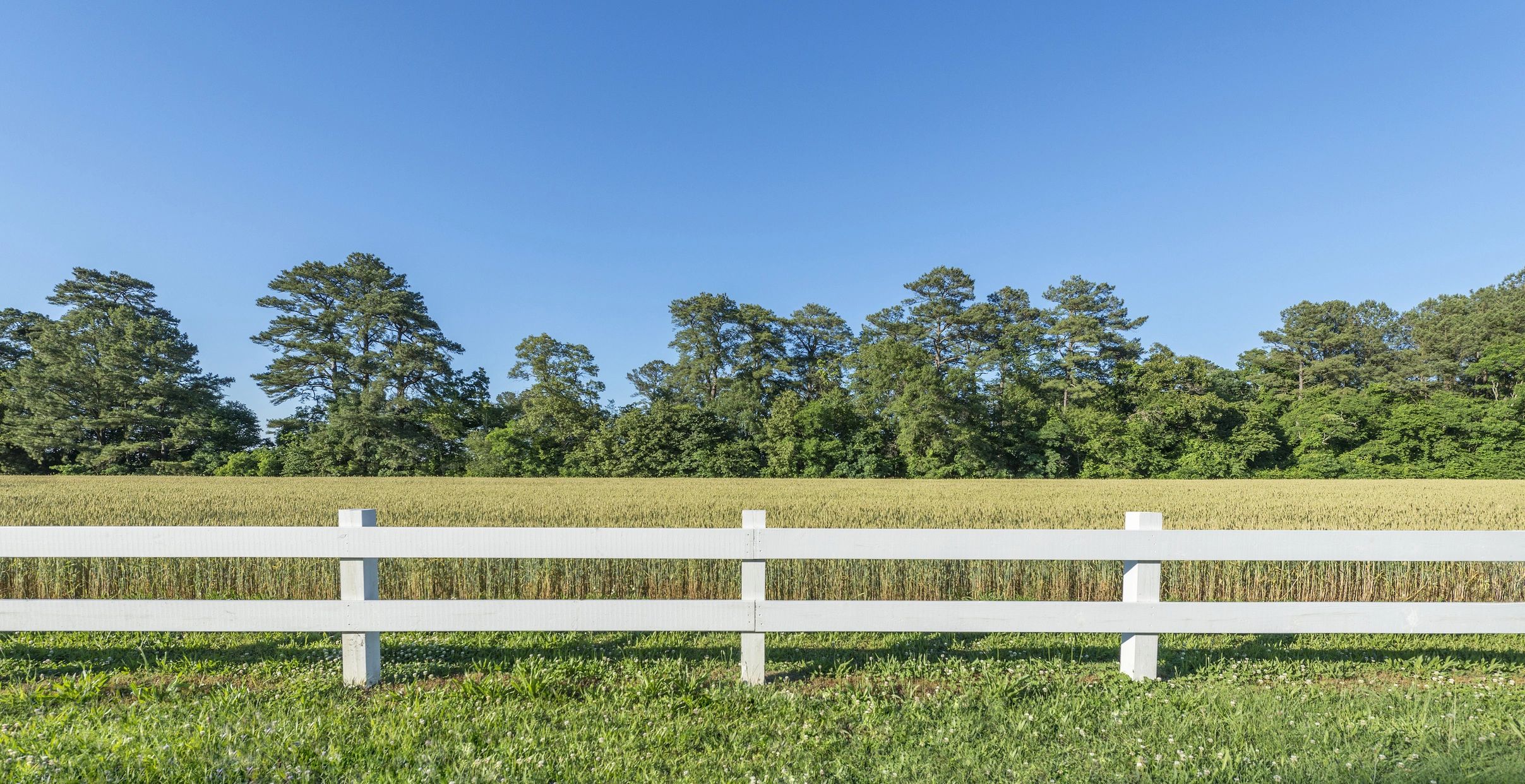 Virginia rural estate landscape for bunker planning