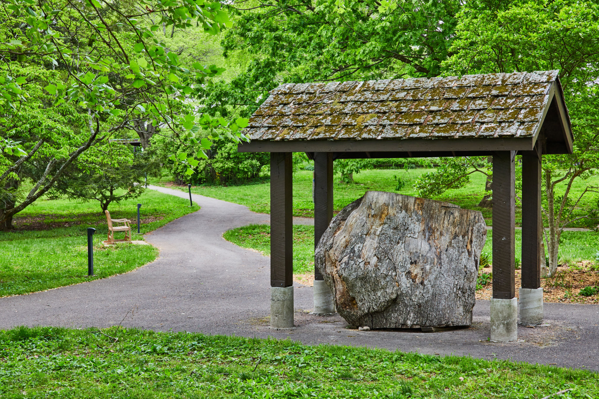 Wooded Kentucky-style landscape supporting discreet bunker placement